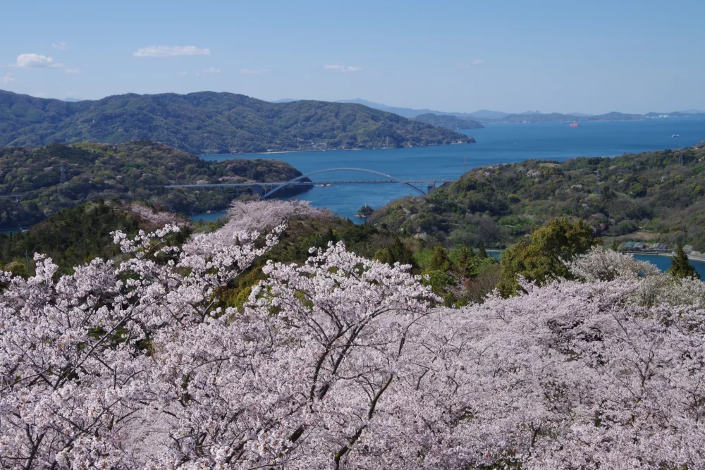 開山公園展望台からの景色