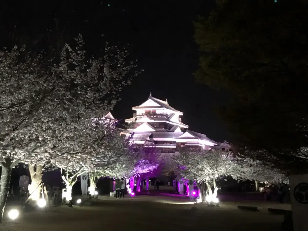 夜桜と松山城